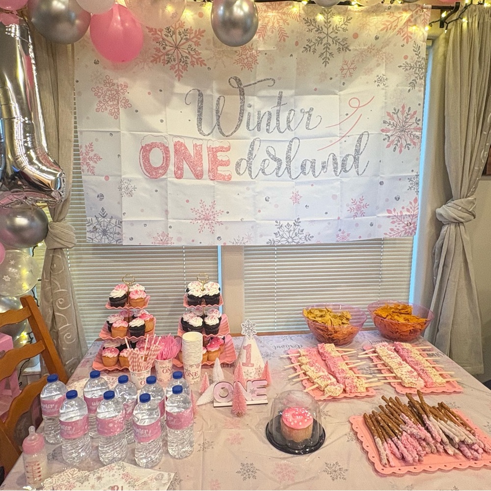 Winter Onederland Party Banner - Pink and Silver